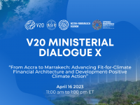 V20 Ministerial Dialogue X - cover image and zoom BG -2
