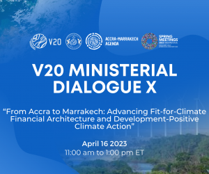 V20 Ministerial Dialogue X - cover image and zoom BG -2