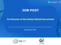 Job Post - Co Director of the Global Shield