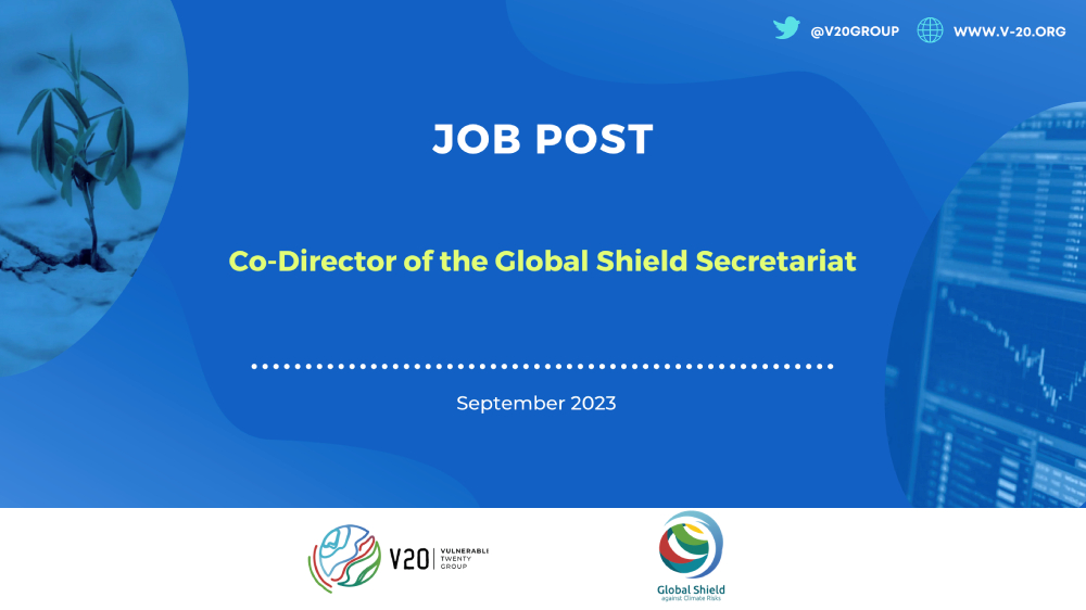 Job Post - Co Director of the Global Shield
