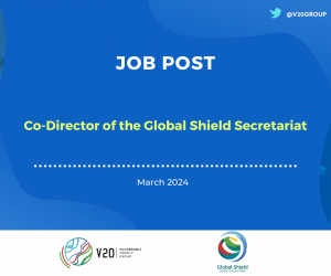 Co-Director of the Global Shield Secretariat