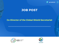 Job Post - Co-Director of the Global Shield Secretariat