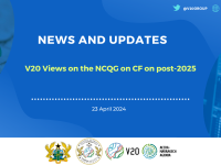 V20 Views on the NCQG on CF