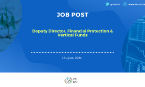 Deputy Director, Financial Protection & Vertical Funds